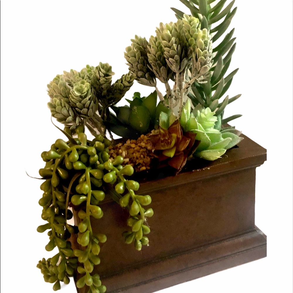 Handmade succulent piece 🪴